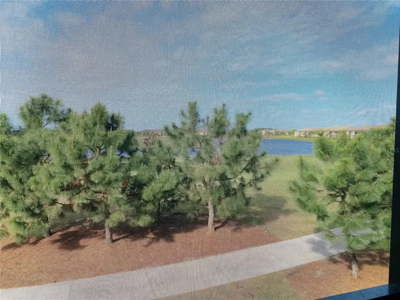Thumbnail 39