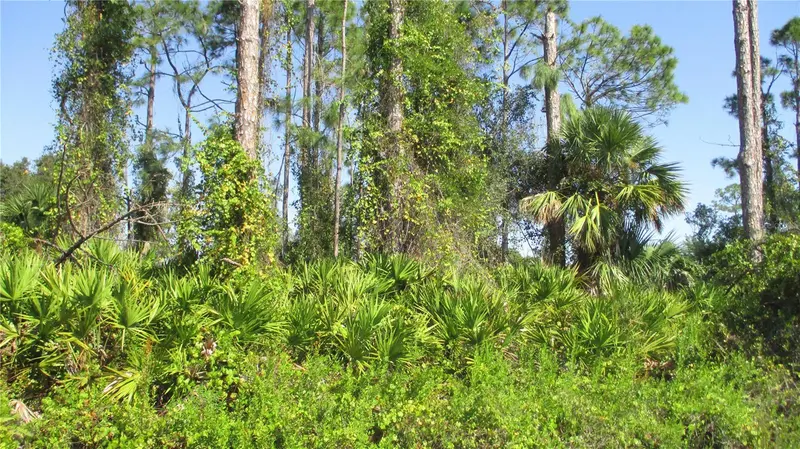 GINSBURG TERRACE, NORTH PORT
