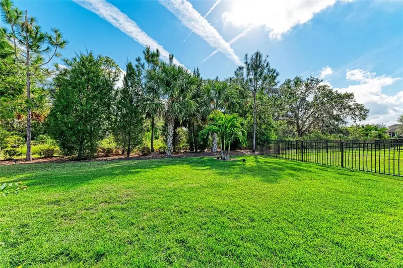 Thumbnail 49