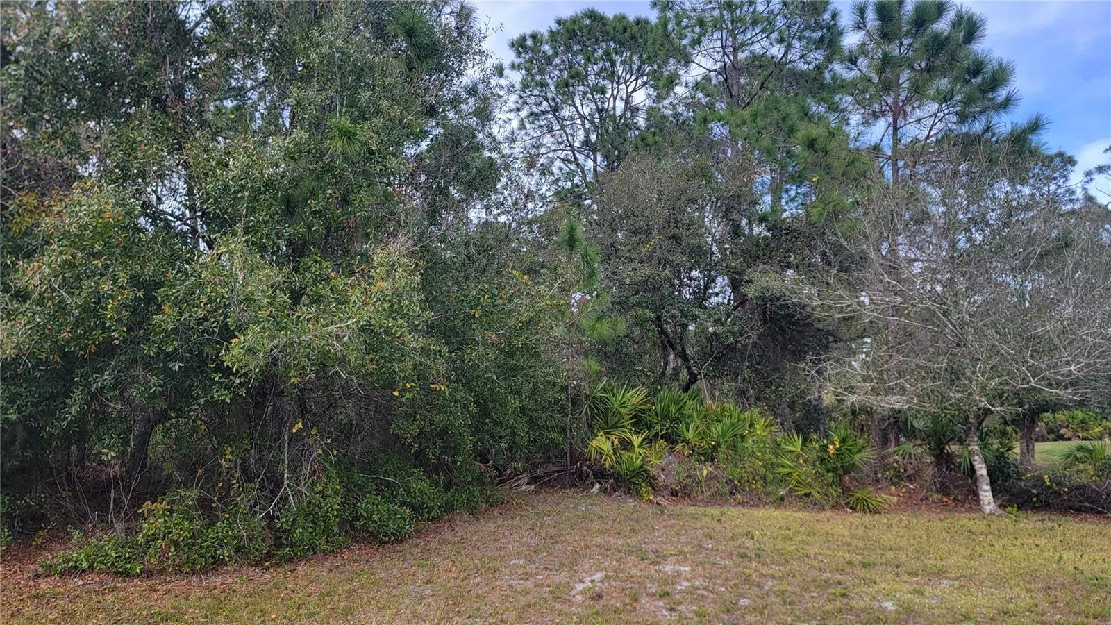 Front of Lot