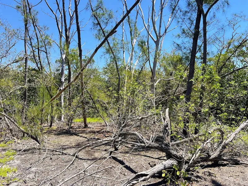 MANASOTA KEY ISLAND, ENGLEWOOD