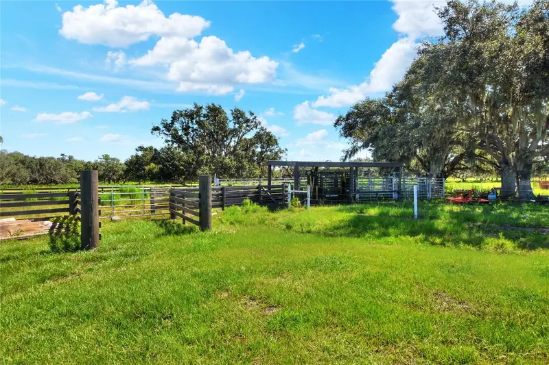 Thumbnail 13