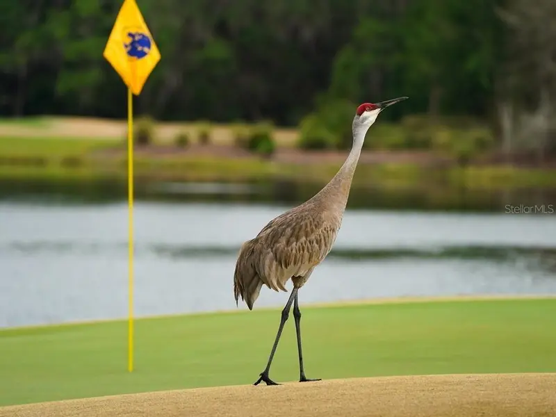 Thumbnail 64
