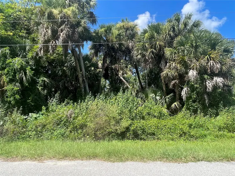 SNYDER   (LOT 6 BLOCK 1019) STREET, NORTH PORT