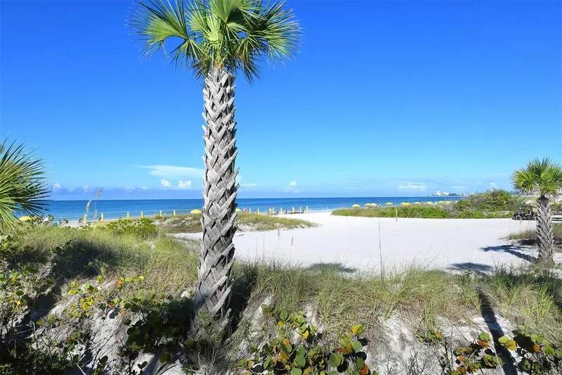 Thumbnail 46