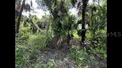 ALPEN AVENUE, NORTH PORT