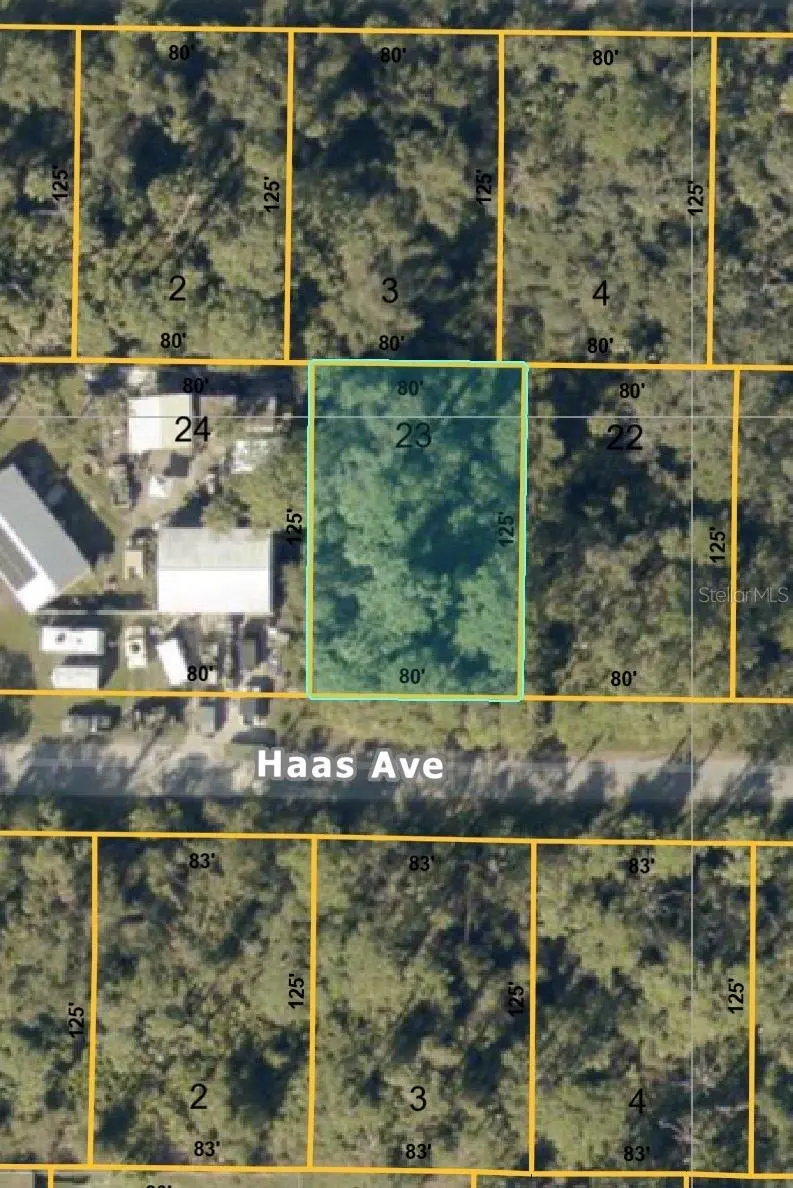 HAAS AVENUE, NORTH PORT