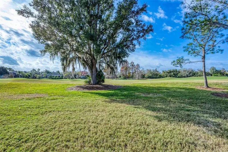 Thumbnail 41