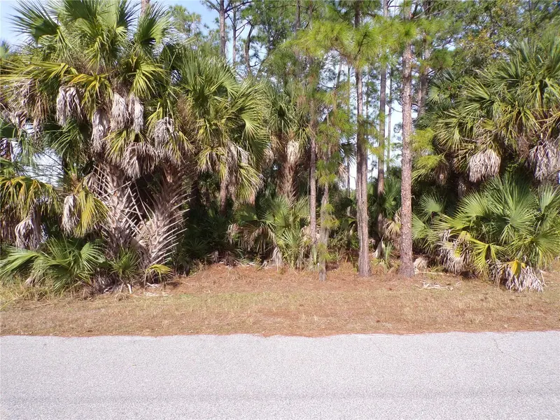 EVANGELINA LANE, NORTH PORT