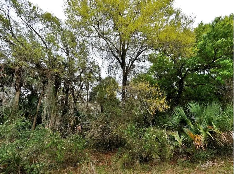BACKERT RD., NORTH PORT