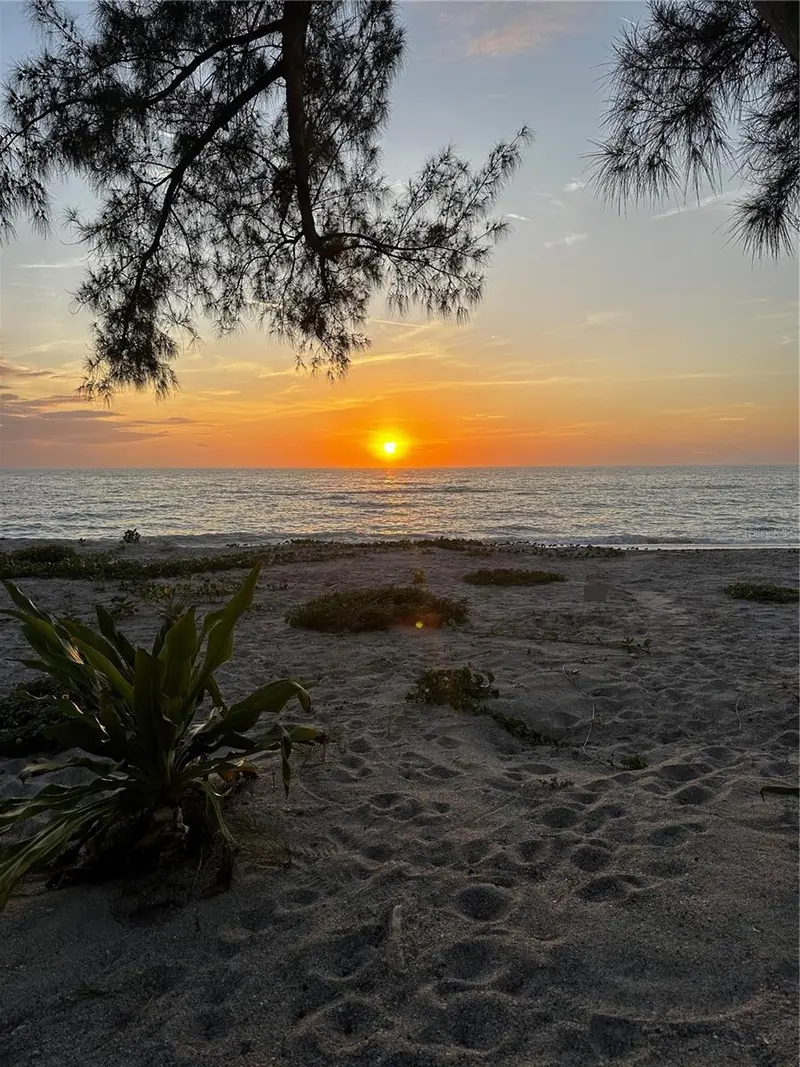 Thumbnail 44