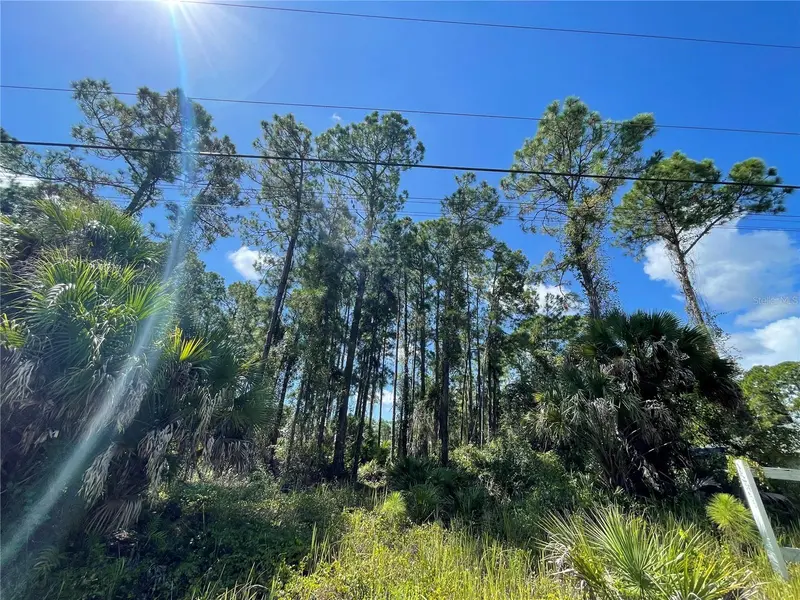 NOPPENBERG AVENUE #LOT 30, NORTH PORT