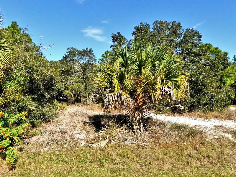 GREENTREE AVENUE, NORTH PORT