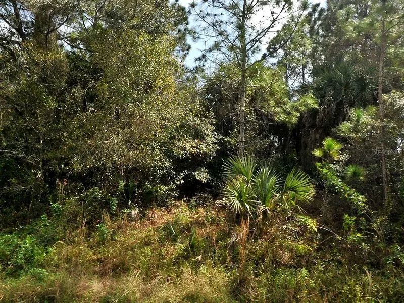 HAMILTON AVENUE, NORTH PORT