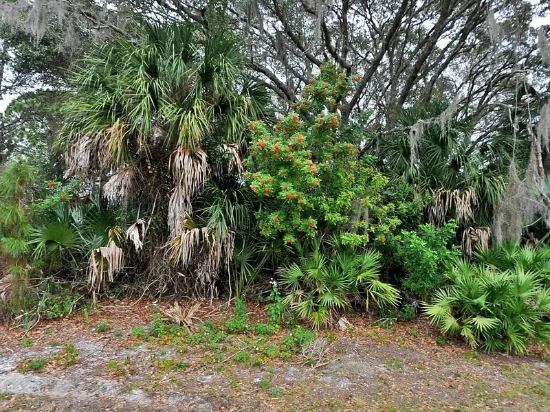 FLORALA STREET, NORTH PORT, photo 2 of 6