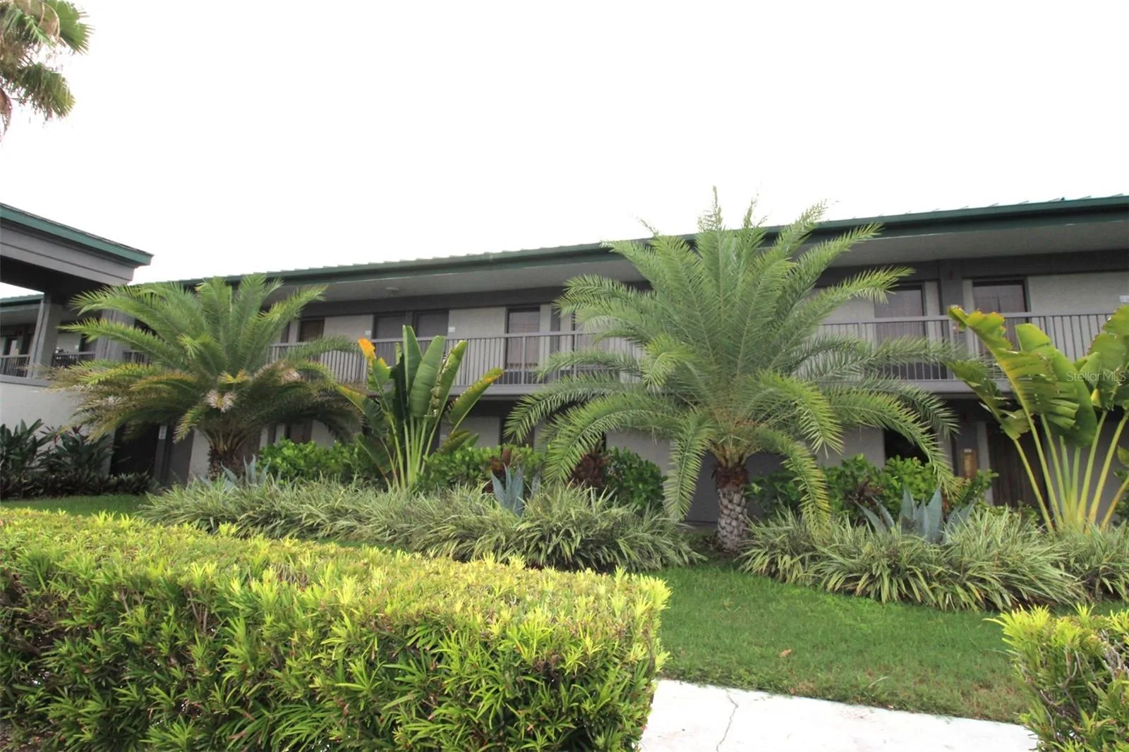 Exterior Building