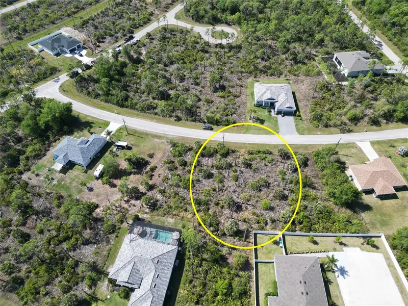 Thumbnail 12