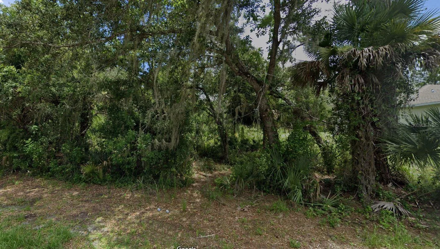 LOT 15