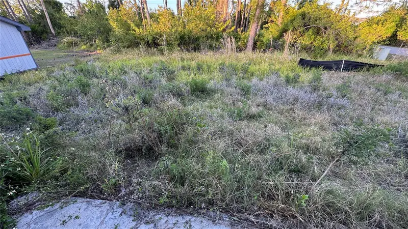 Thumbnail 44