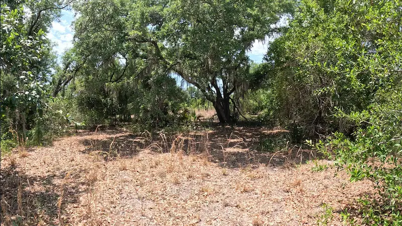 HAMER TERRACE #Lot 25, NORTH PORT
