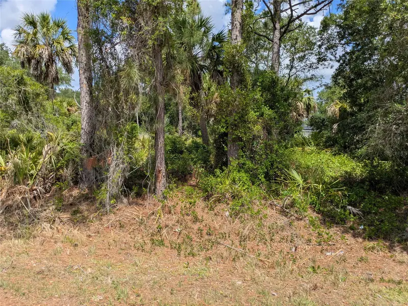 DELIGHT AVENUE, NORTH PORT, photo 2 of 10
