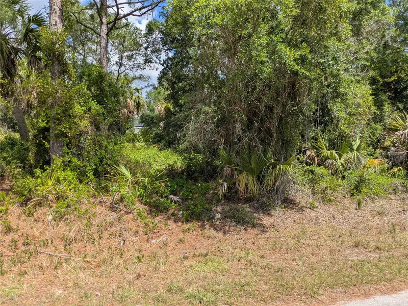 DELIGHT AVENUE, NORTH PORT, photo 3 of 10