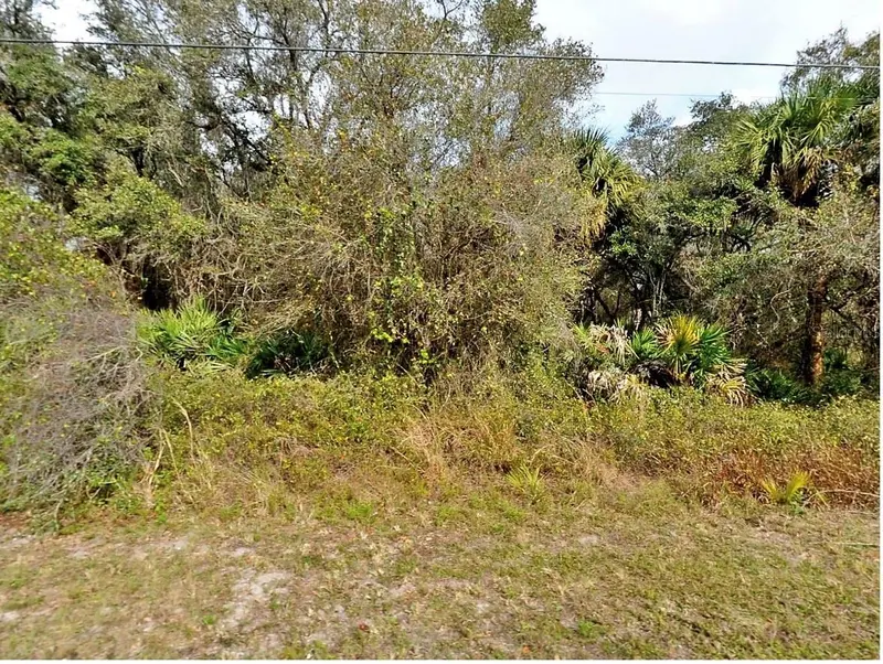 FLING AVE., NORTH PORT