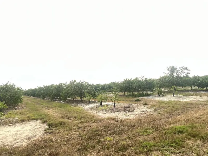NE HWY 70, ARCADIA