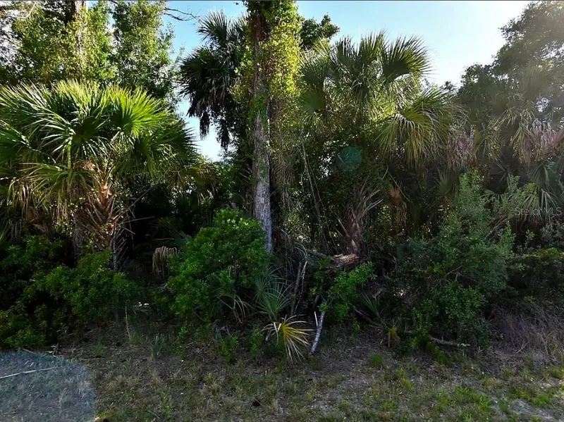 WELLS AVENUE, NORTH PORT