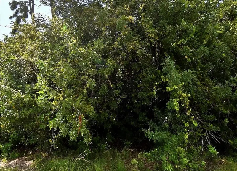 MAP AVENUE, NORTH PORT