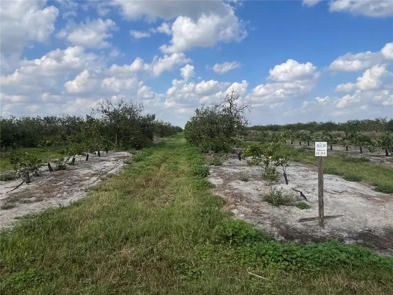 NE HWY 70 #04-24-04, ARCADIA