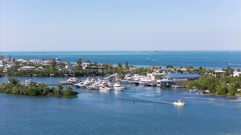 Thumbnail 66