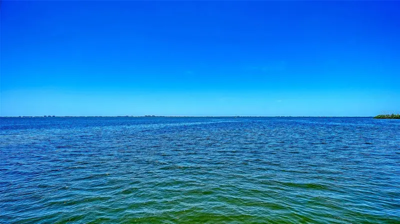 Thumbnail 61
