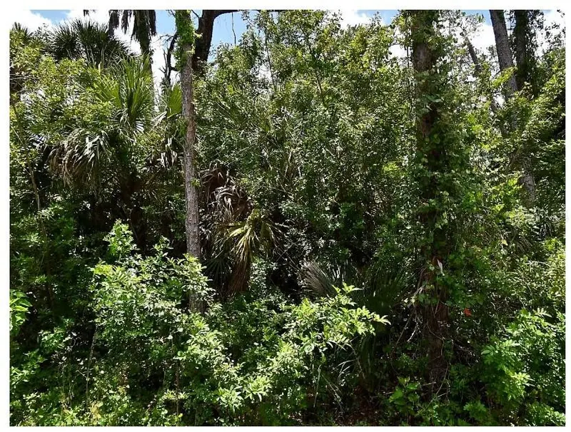 NUMERA AVENUE, NORTH PORT
