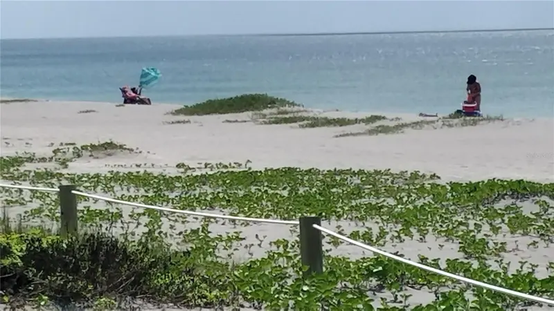 Thumbnail 23