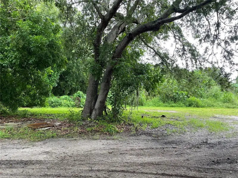 ALBEE FARM ROAD, VENICE