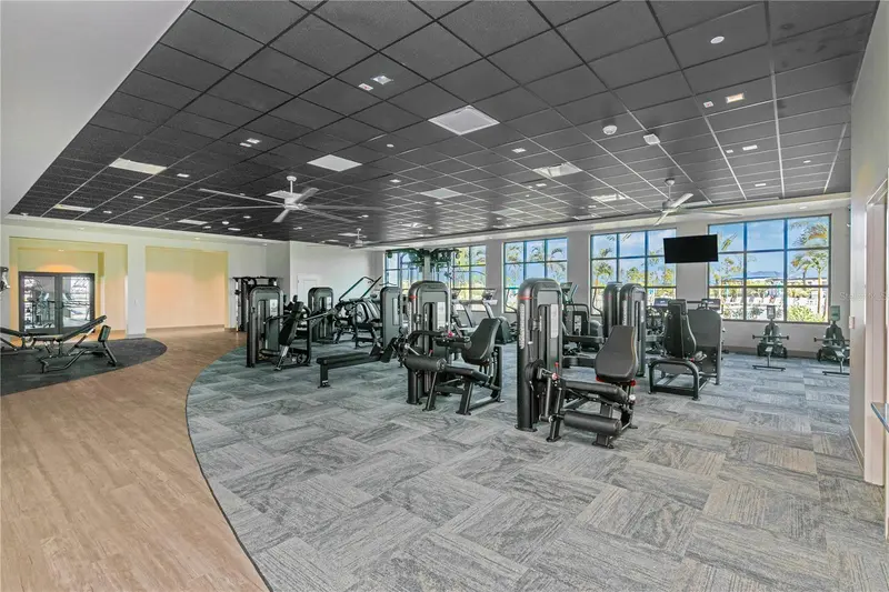 Thumbnail 61