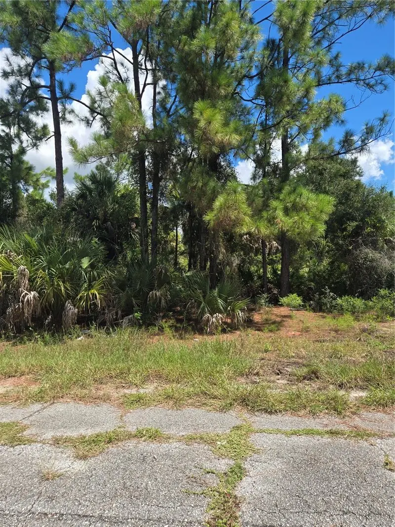 NANCE STREET, NORTH PORT