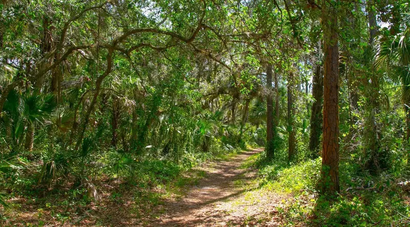 Thumbnail 34
