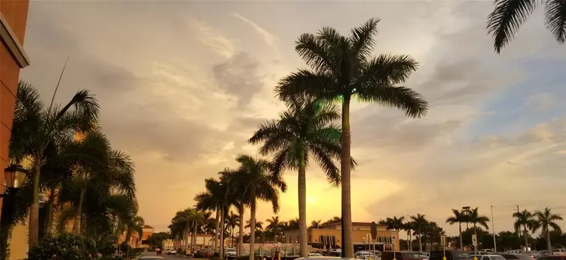 Thumbnail 36