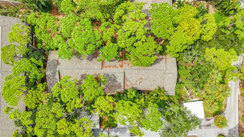 Thumbnail 43