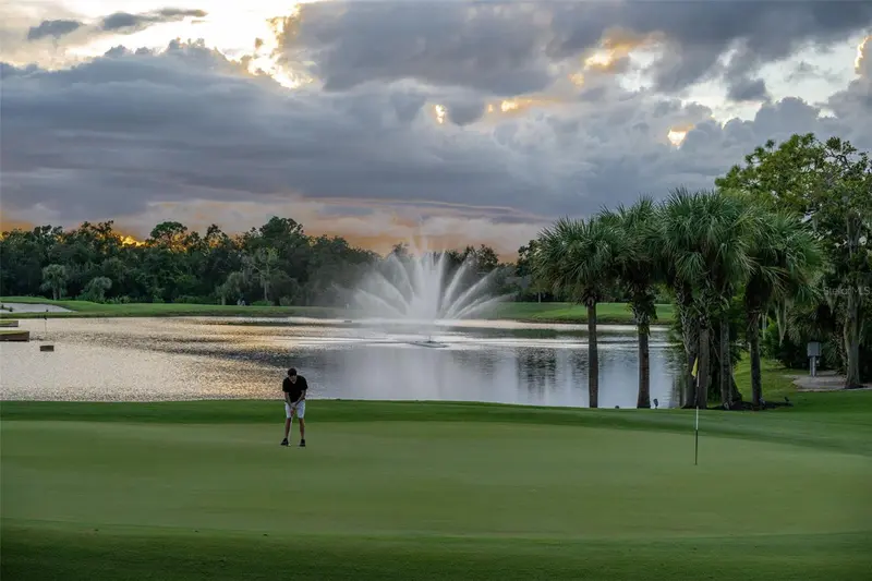 Thumbnail 52