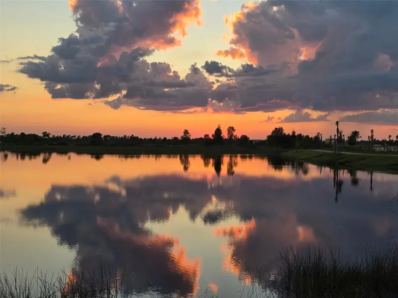Thumbnail 53