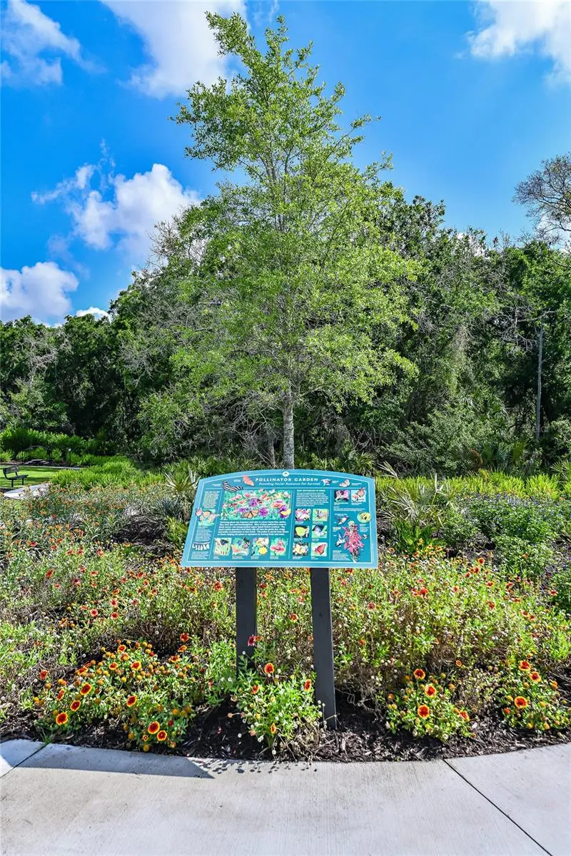 Thumbnail 30