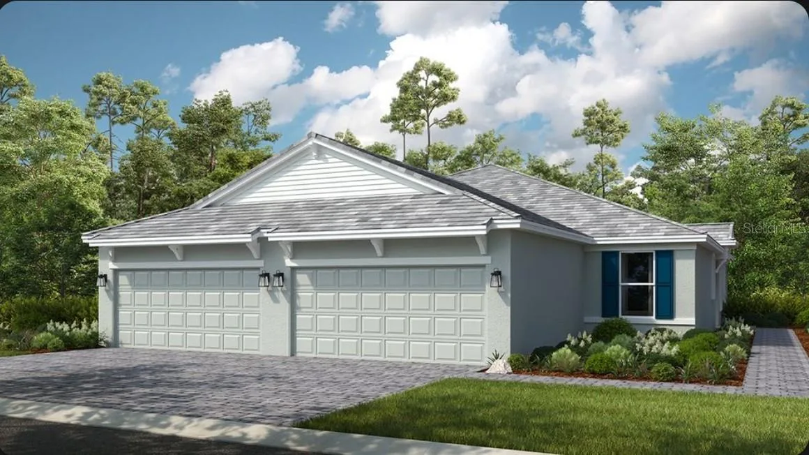Ibis Rendering