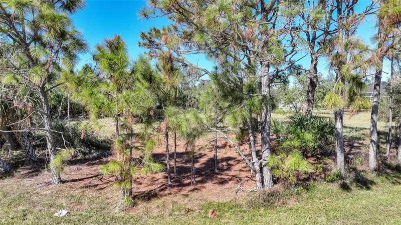 9531 & 9551 HORACE CIRCLE, PORT CHARLOTTE, photo 5 of 24