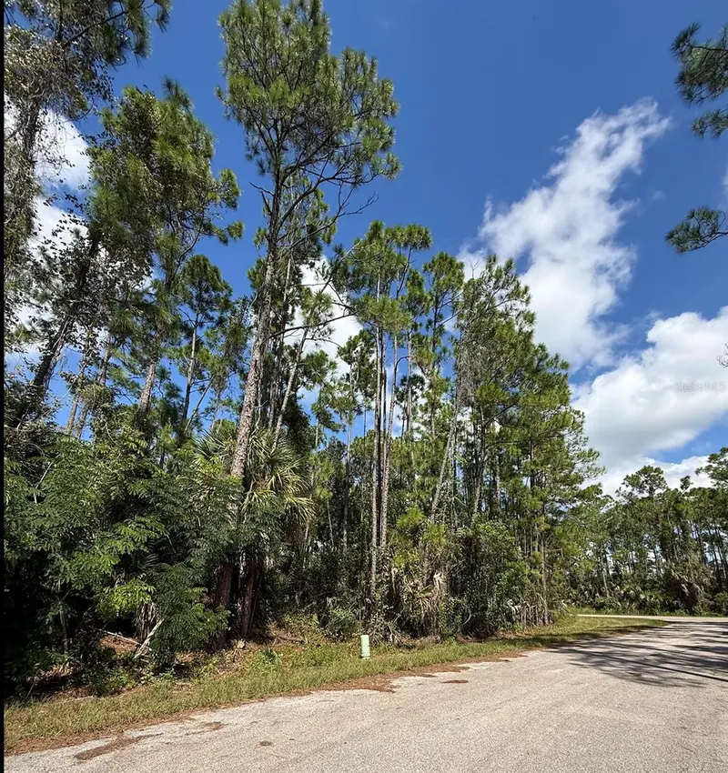 CARMELIA STREET, NORTH PORT, photo 2 of 12