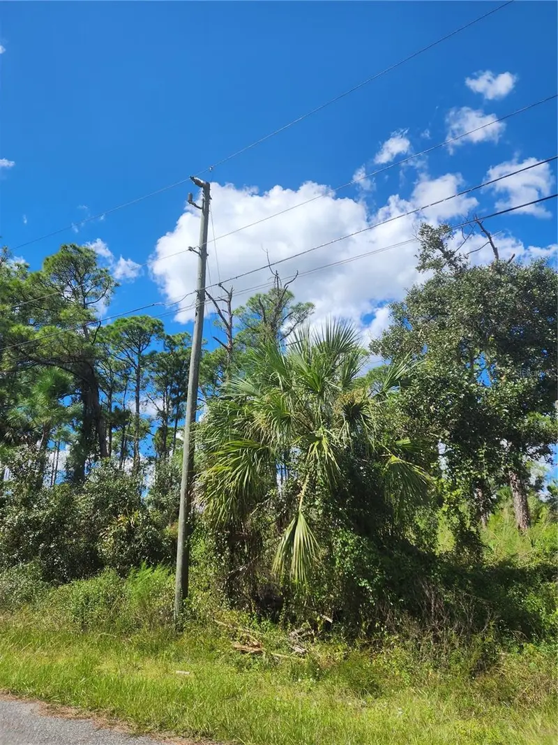 DORIE STREET, NORTH PORT, photo 4 of 28
