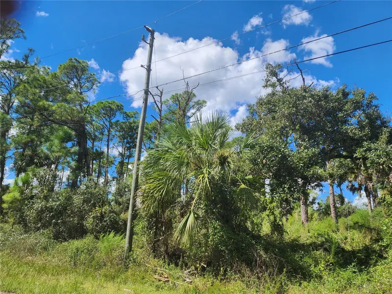 DORIE STREET, NORTH PORT, photo 5 of 28