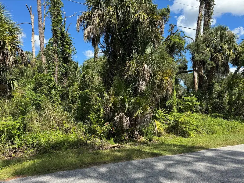 ZAMITA AVENUE, NORTH PORT, photo 2 of 8